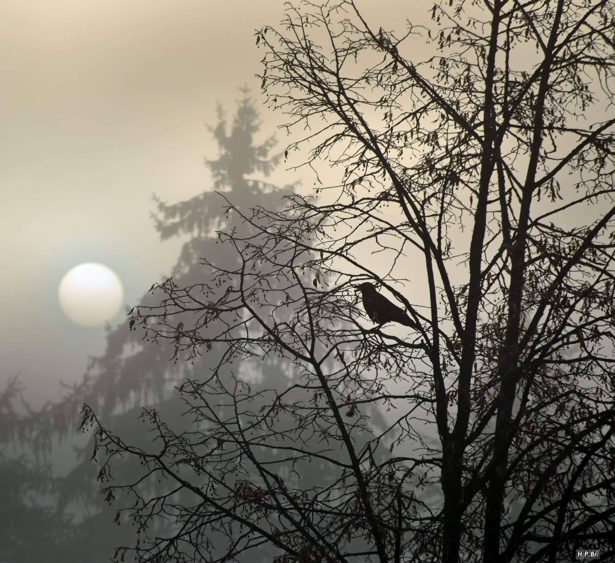 FB_IMG_1605000883936