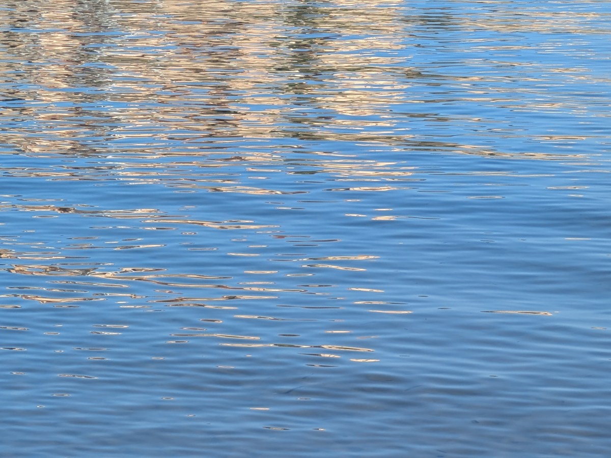 L&rsquo;année 2025 en&nbsp;retrospective